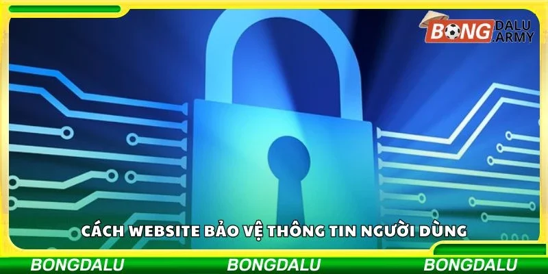 Cách website bảo vệ thông tin người dùng